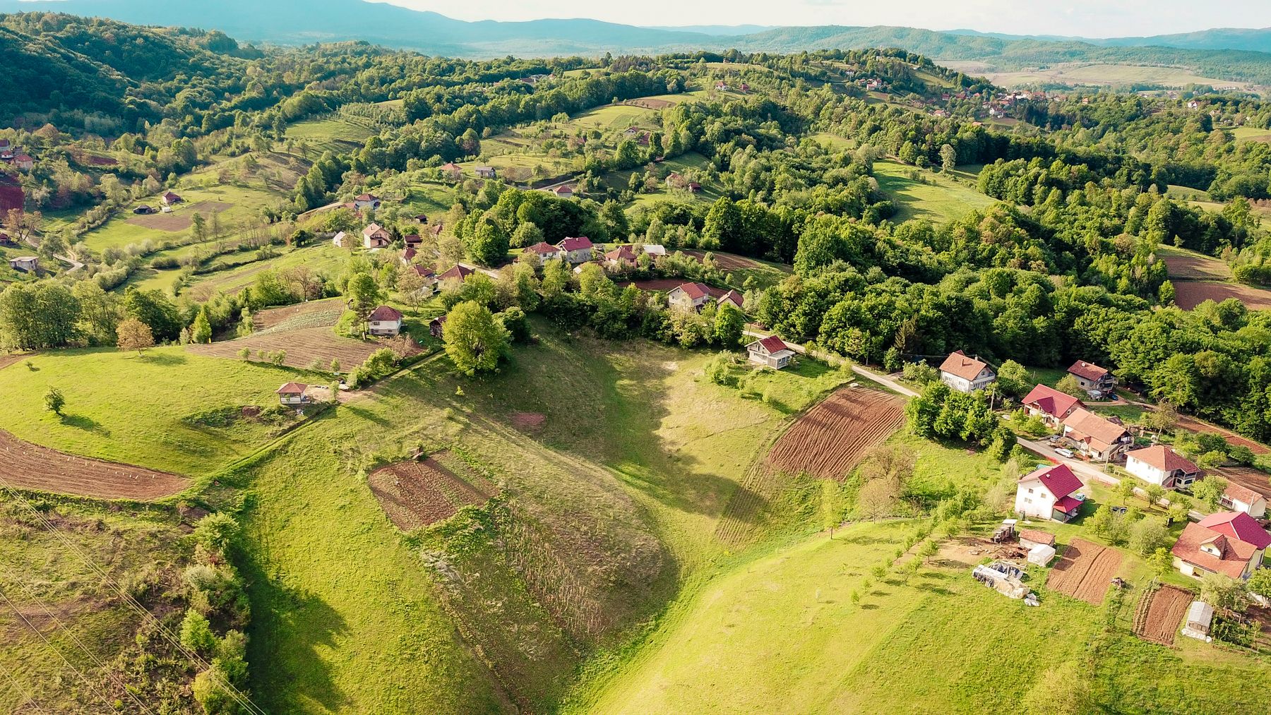 Paysage rural avec maisons et arbres